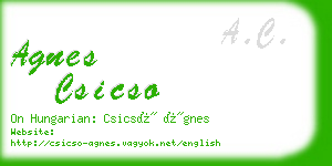 agnes csicso business card